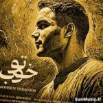 دانلود آهنگ تو خوب محسن یگانه دانلود آهنگ تو خوب محسن یگانه