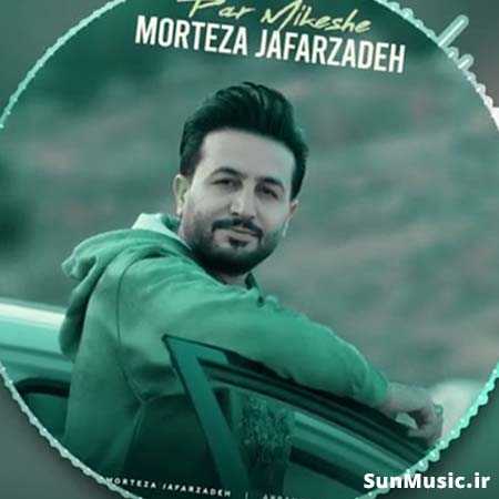 دانلود آهنگ پر میکشه مرتضی جعفرزاده