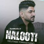 دانلود آهنگ نالوطی من بدجور دلتنگتم مجتبی ترکاشوند