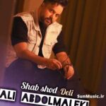 دانلود آهنگ شب شد دوباره بازم چشام تر شد علی عبدالمالکی