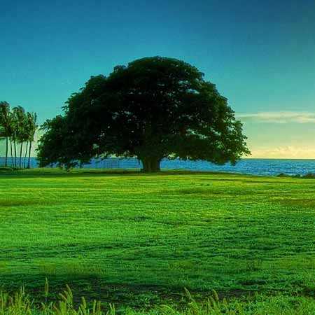 دانلود آهنگ مثل من بگو کی فنته هر چی بشه باز یه چی کمته کوروش