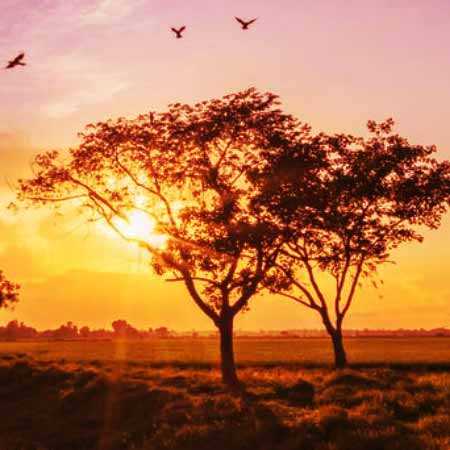 دانلود آهنگ یه روزی ما فقط خواستیم نشیم تنها میدونی حسی نی الان اینجا