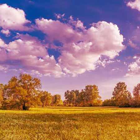 دانلود ریمیکس دلم تنگه هوا سرده چه سوزی داره این باد امیر خلوت و 021 جی و امیر تتلو و حصین