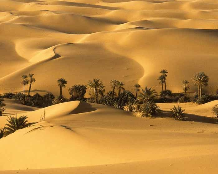 دانلود ریمیکس حالا من موندمو یه کنج خلوت مسلک و علی سورنا و علی زند وکیلی و صادق