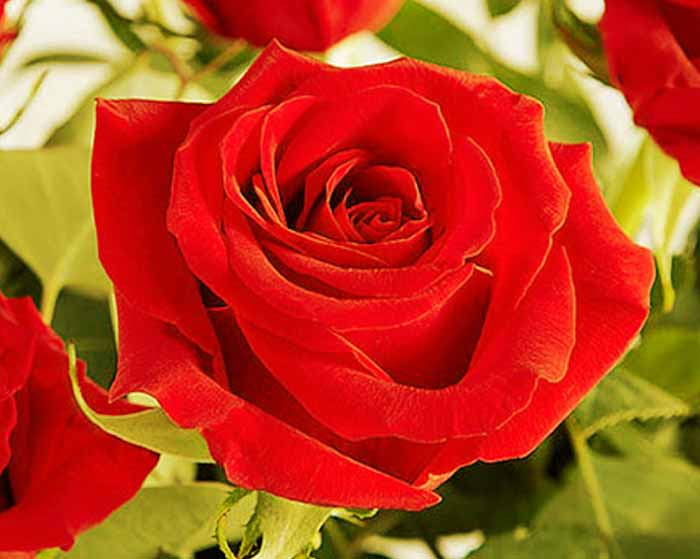 دانلود آهنگ مو برای داشتنت کلی دست و پا زدوم دانلود آهنگ مو برای داشتنت کلی دست و پا زدوم