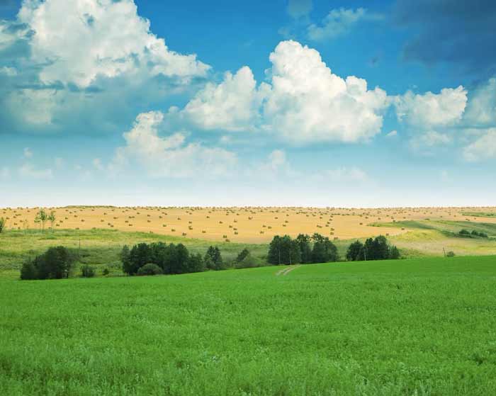 دانلود آهنگ تو سکوت دشت بره ها گرگ بودن مگه افتخاره
