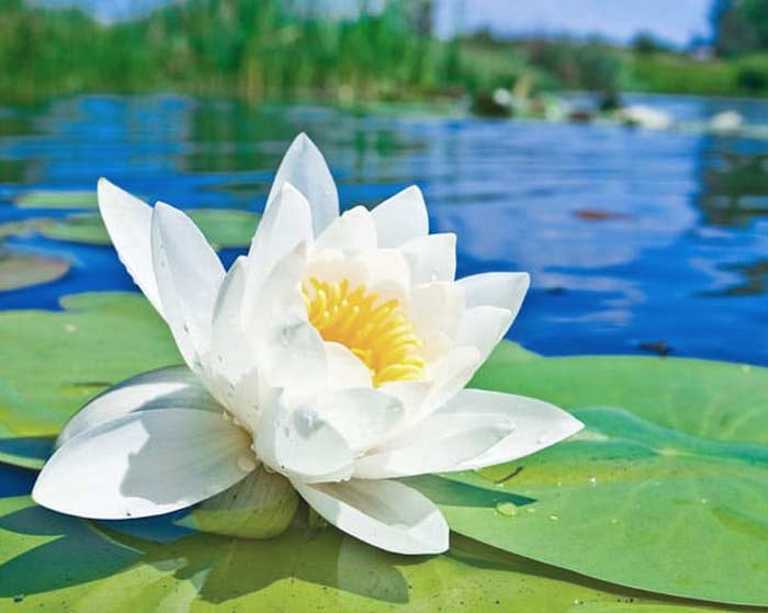 دانلود آهنگ یرینده دور او سنی بولور یا دانلود آهنگ یرینده دور او سنی بولور یا