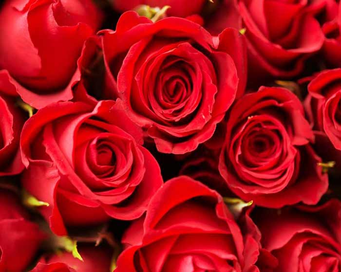 دانلود آهنگ نازک نارنجی ای می کرنجی سجاد باغنده