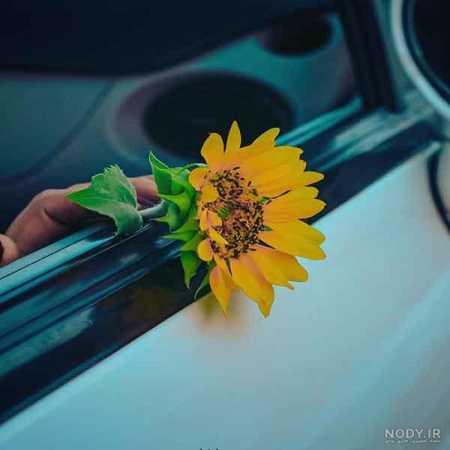 دانلود آهنگ برای زنده بودن دلیل آخرینم باش دانلود آهنگ برای زنده بودن دلیل آخرینم باش