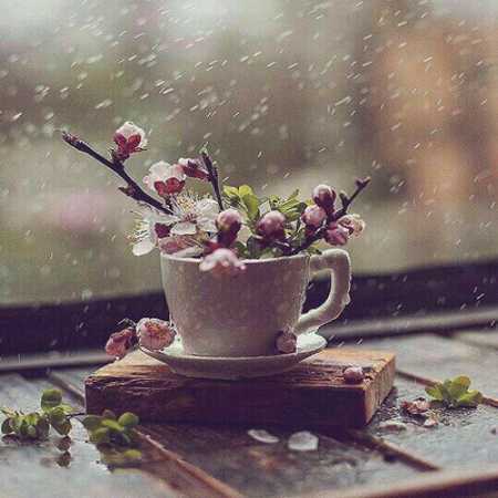 دانلود آهنگ ﺗــﻮ ﺑﻬﺎﻧﻪ ﻣﻦ ﻣﻮﻫﺎی ﺧﻴﺴﺖ رو ﺷﺎﻧﻪ ی ﻣﻦ دانلود آهنگ ﺗــﻮ ﺑﻬﺎﻧﻪ ﻣﻦ ﻣﻮﻫﺎی ﺧﻴﺴﺖ رو ﺷﺎﻧﻪ ی ﻣﻦ