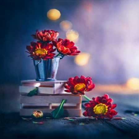 دانلود آهنگ ﻛﻤﺒﻮد دﻟﺎر ﻣﻠﺎر ﺑﺎ رﻓﻴﻘﺎ ﻫﺮ روز ﻗﻤﺎر